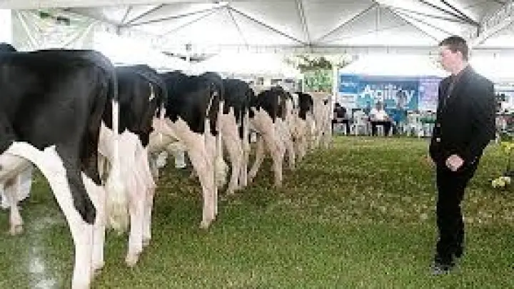 Setembro 2026 - ExphoMIG e Exposi&ccedil;&atilde;o Agropecu&aacute;ria e Industrial de Itanhandu + Desfile 7 de Setembro