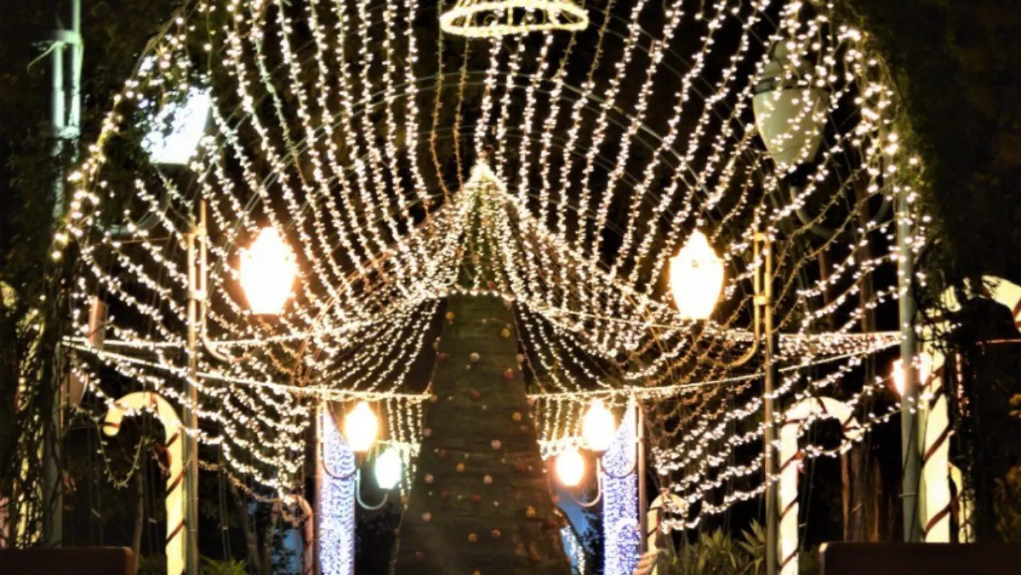 Dezembro 2025 - Natal Iluminado