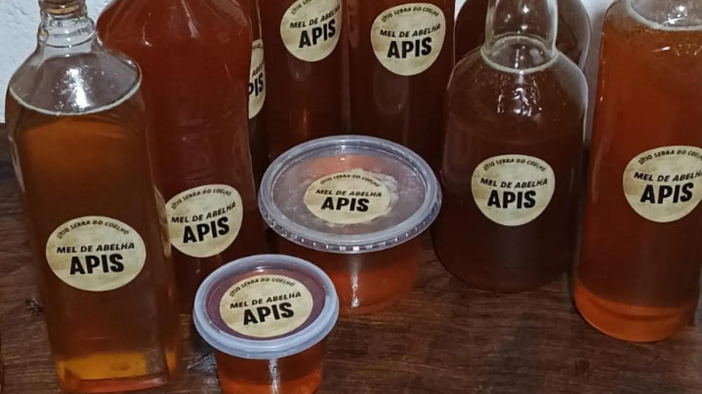 Passeio no Sítio Serra do Coelho em Itanhandu | Conheça a Produção Sustentável de Mel