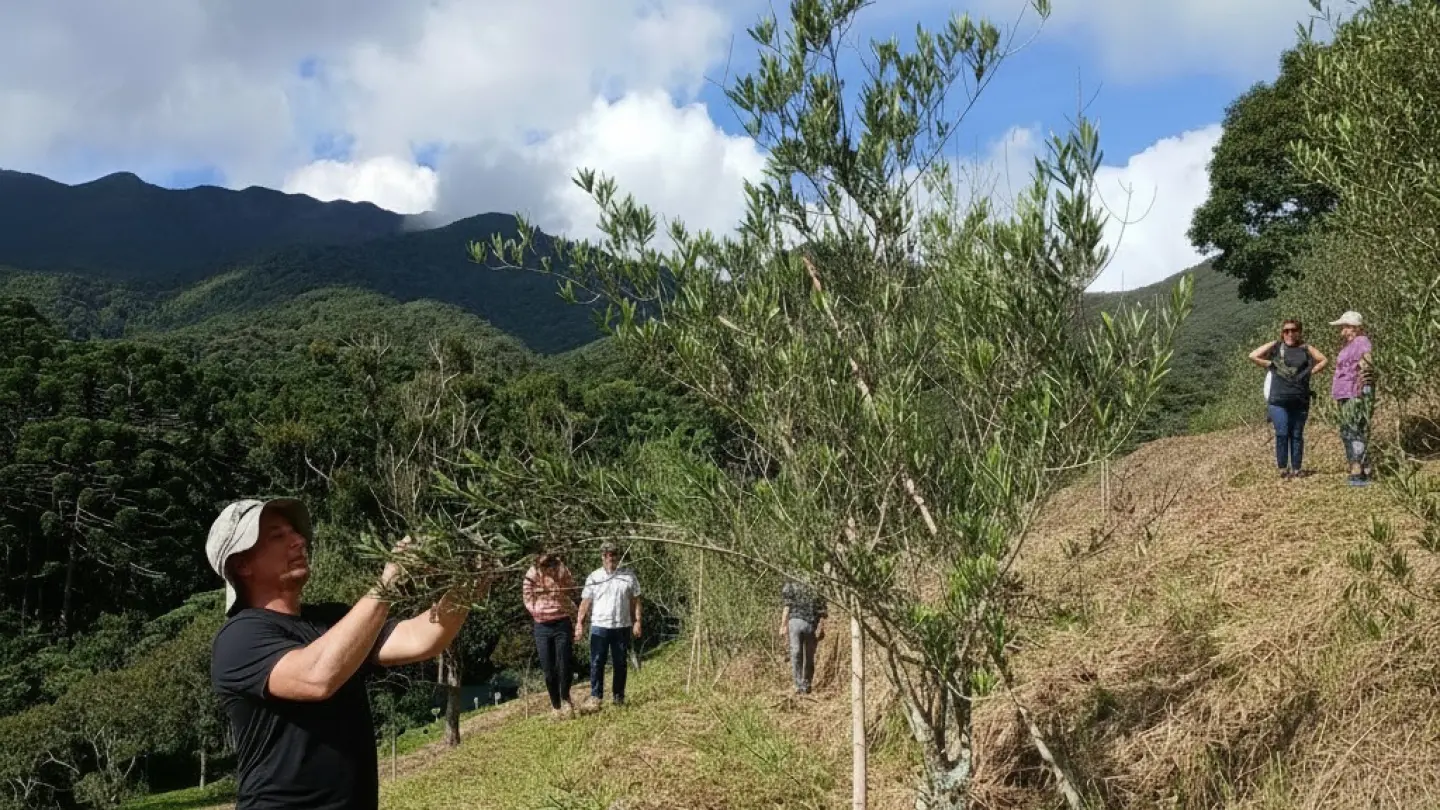 Mantique Fazenda - Com Guia (Sem Transporte, V&aacute; com Seu Pr&oacute;prio Carro)
