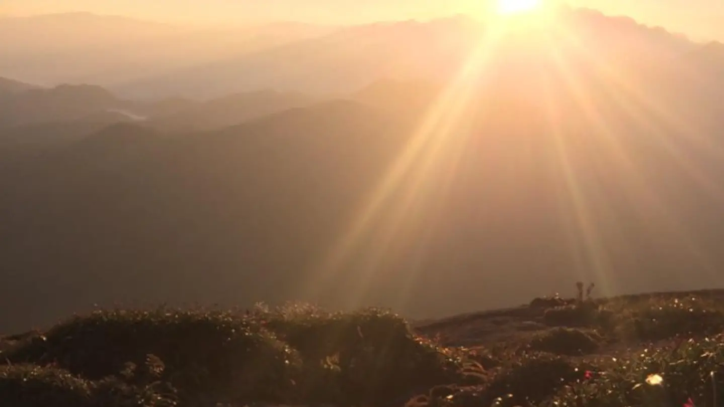 Pico do Itaguar&eacute; &ndash; Trekking com Guia (Sem Transporte, V&aacute; com Seu Pr&oacute;prio Carro)