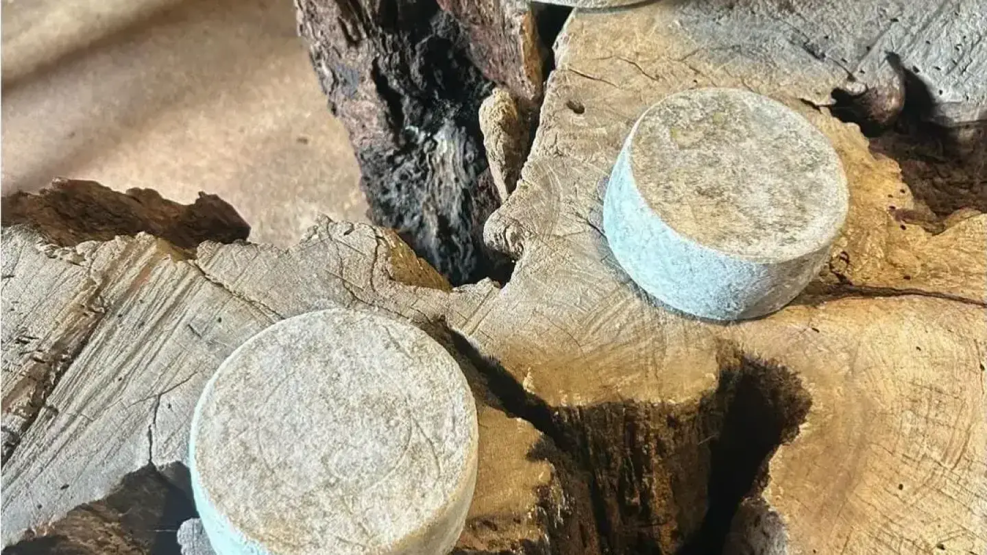 Visite a Queijaria de Búfala Pérola da Serra