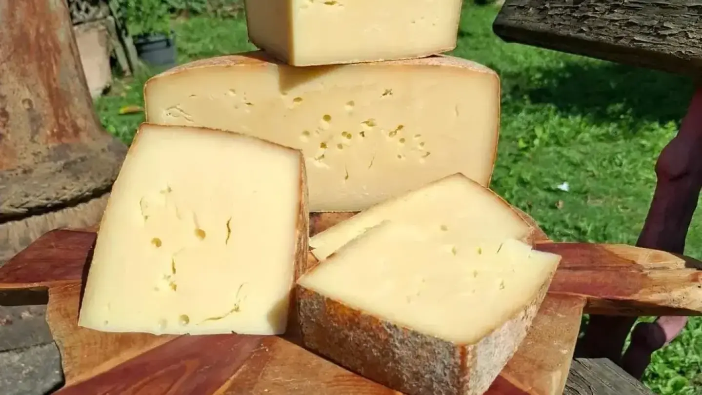 Visite a Queijaria 50 &ndash; Queijos Artesanais da Mantiqueira