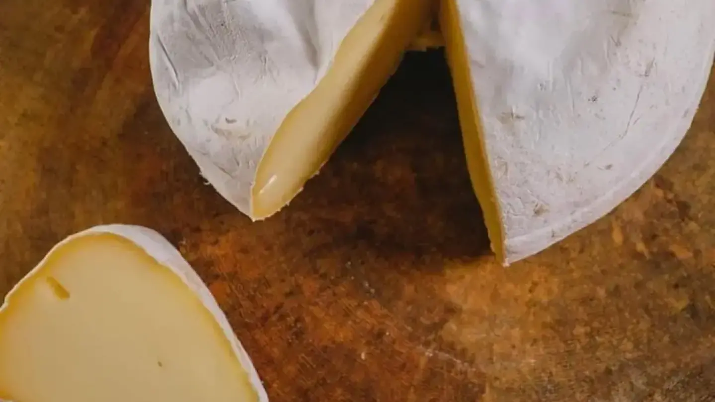 Visite a Queijaria 50 &ndash; Queijos Artesanais da Mantiqueira