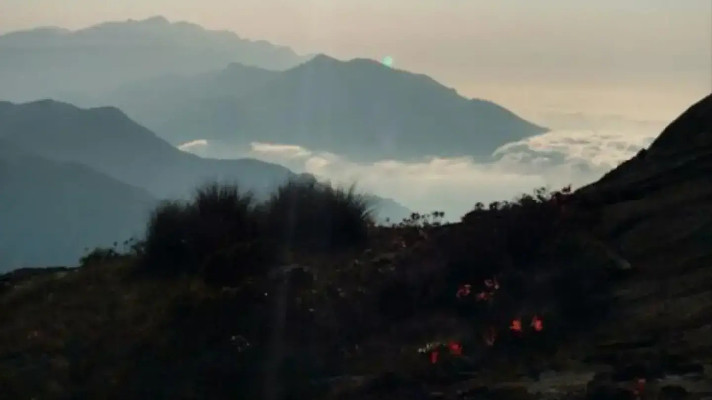 Pico do Itaguaré – Trekking com Guia Local (Sem Transporte, Vá com Seu Próprio Carro)