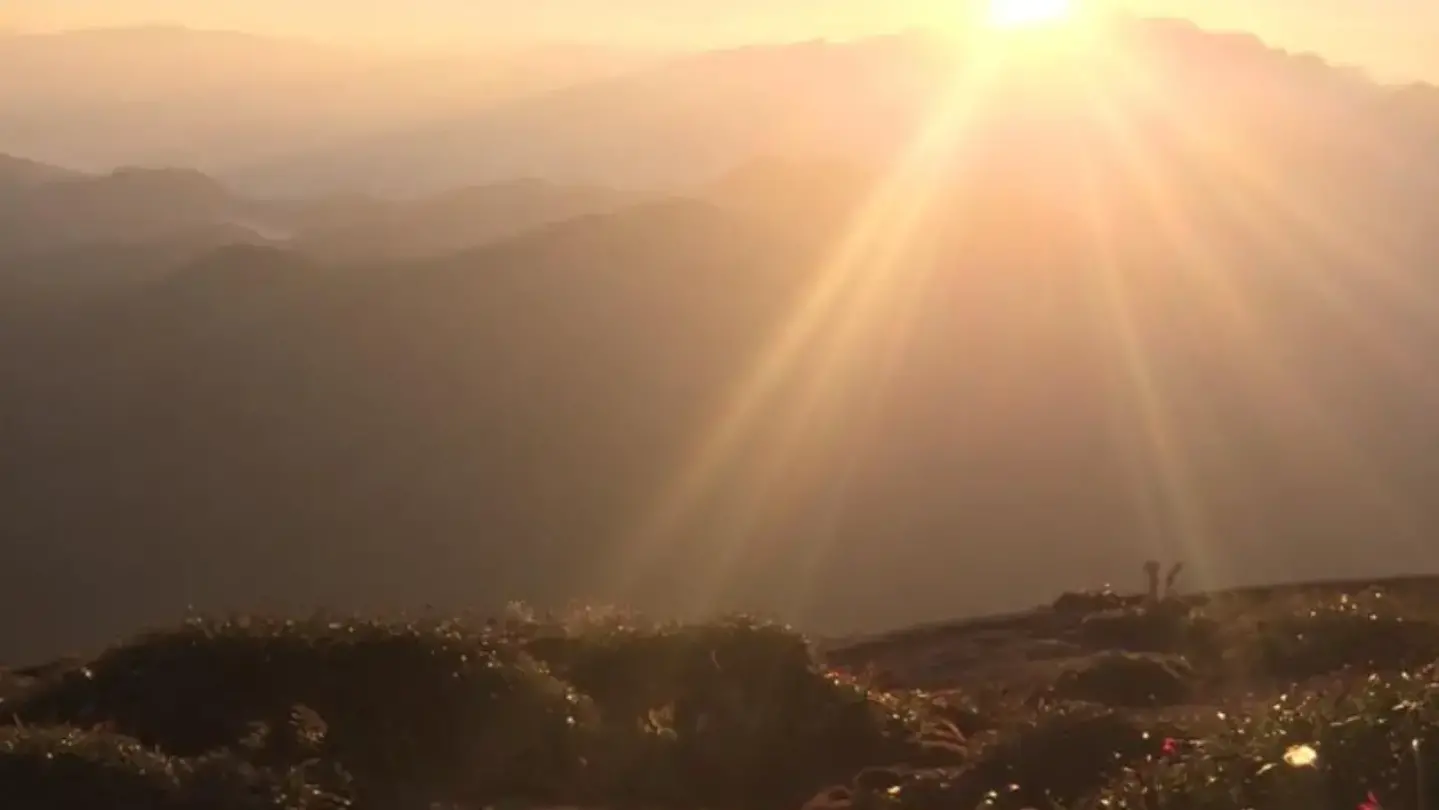 Pico do Itaguaré – Trekking com Guia Local (Sem Transporte, Vá com Seu Próprio Carro)