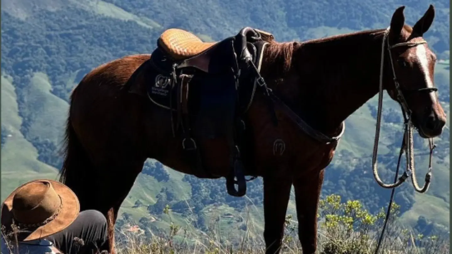 Passeio a Cavalo &ndash; Experi&ecirc;ncia Rural em Itanhandu