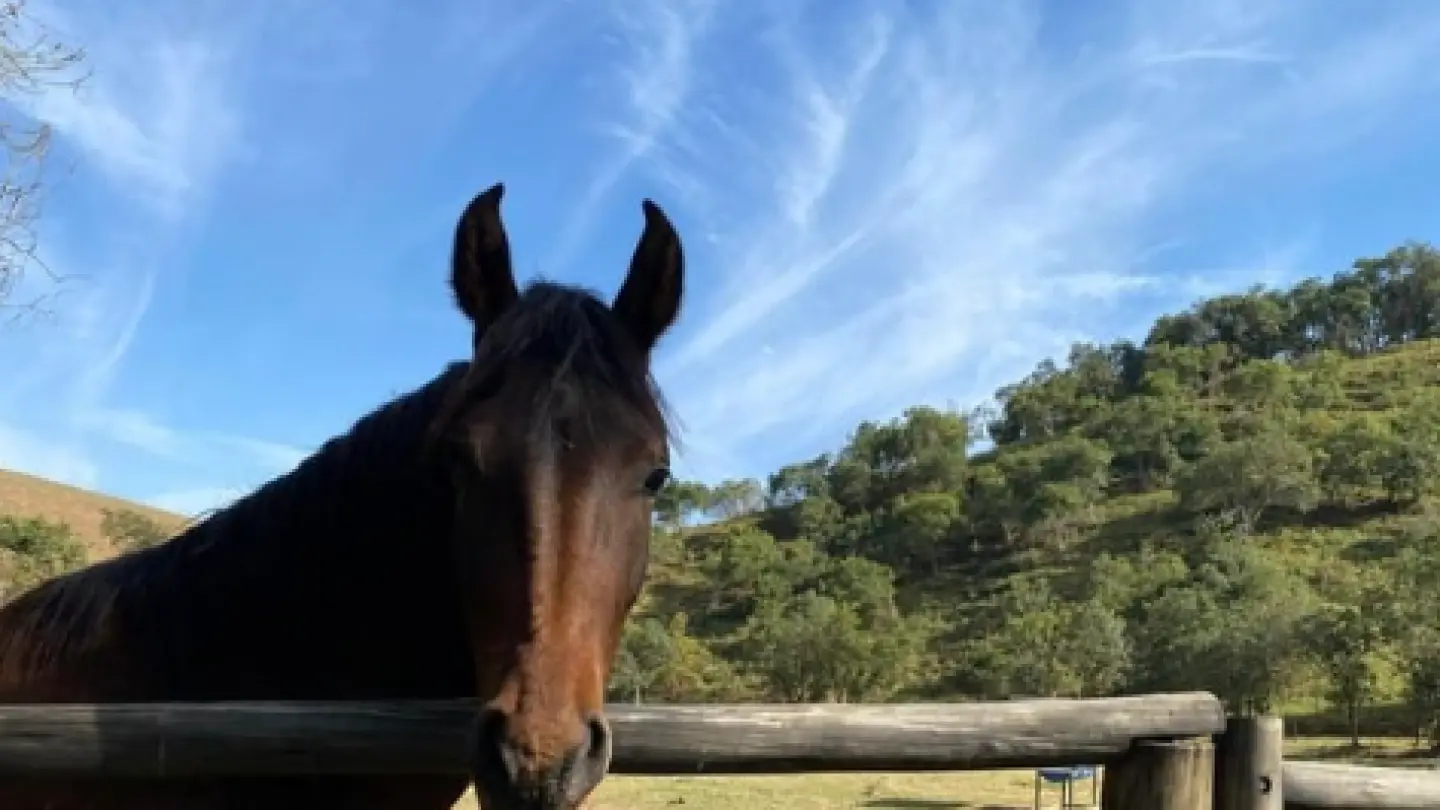 Passeio a Cavalo &ndash; Experi&ecirc;ncia Rural em Itanhandu